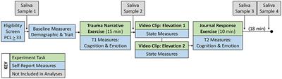 Changes in Trauma-Related Cognitions and Emotions After Eliciting Moral Elevation: Examining the Effects of Viewing Others' Virtuous Behavior on Veterans With PTSD